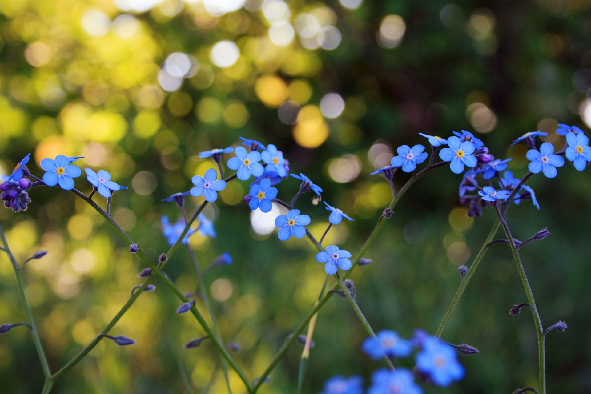 Langkah Sederhana untuk Hari yang Lebih Terarah